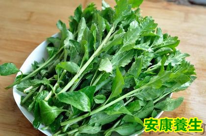 春天可以吃的野菜