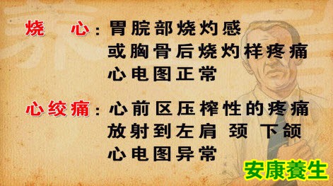 养生堂20130326视频:赵荣莱,翟兴红讲如何区分烧心与心绞痛,胃食管反