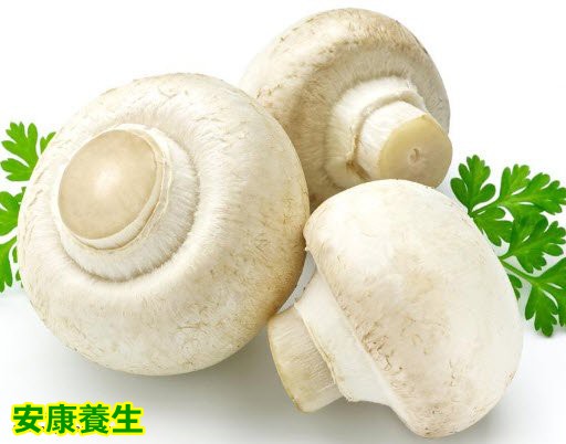 口蘑富含硒，能保护肝脏，是抗癌的蘑菇