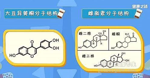 《健康之路》20190223《风靡的营养素你补对了吗》(五)卵磷脂,大豆异黄酮