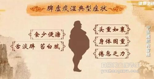 《健康之路》20190301拔罐减肥法,耳豆疗法,肝郁脾虚