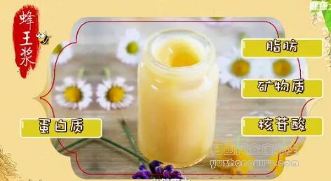 蜂王浆