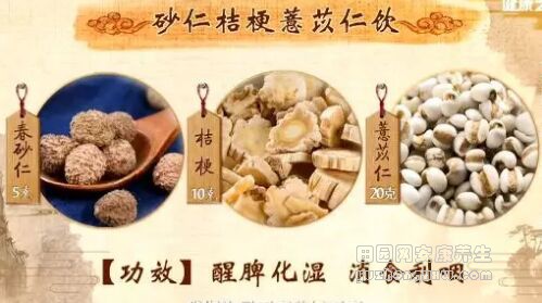 砂仁桔梗薏苡仁饮