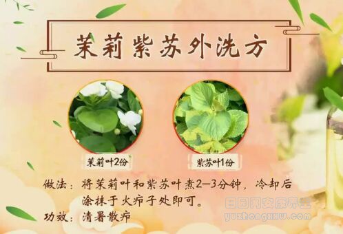 茉莉紫苏外洗方