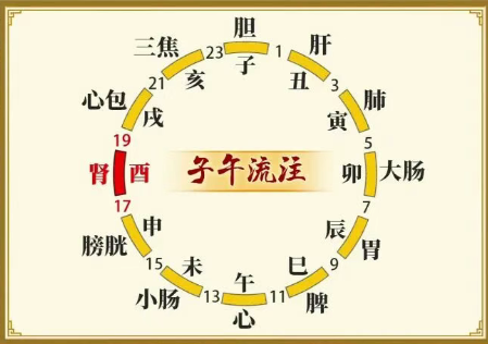 《健康之路》别再乱吃药！身体自带4味“免费中药”