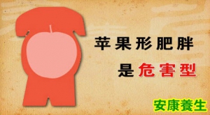 《养生堂》20130816视频:杨金奎讲糖尿病,中心型肥胖,减肥