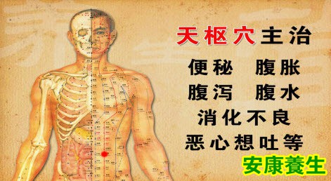 四白穴