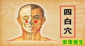 《养生堂》20130820视频：随身可带的养生“工具”－2