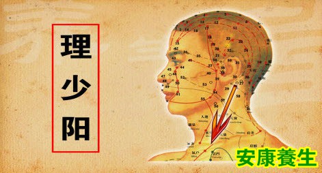 理少阳