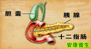 20130823《养生堂》视频：命悬“胰腺” 郝纯毅讲胰腺炎,慢性胰腺炎,胰腺癌
