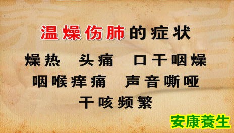 伤肺