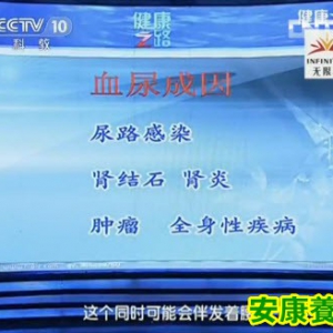 《健康之路》20130814视频:郑红光讲肾损伤,夜尿频多,憋尿,血尿