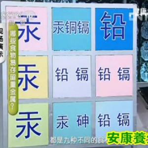 《健康之路》20130815:陈伟讲肾损伤,控盐,高盐食品,重金属