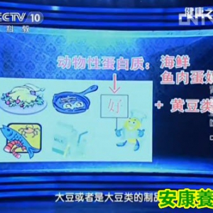 《健康之路》20130816视频:陈伟讲肾,蛋白质,豆类,花生,豆浆