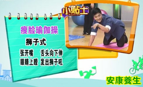 狮子式
