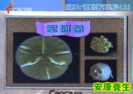 军团菌