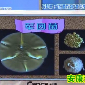 20130829健康有道视频和笔记:《细菌炸弹潜伏身边（上）》段朝辉讲细菌,洗衣机,空调,军 ...