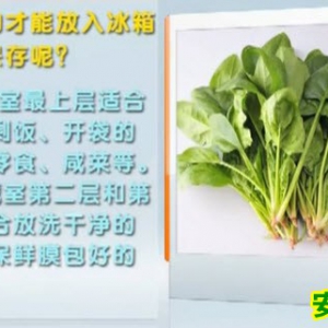 爱尚健康20130807视频:王旭峰 夏季储存食物指南