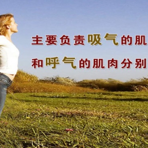20130901《养生堂》视频和笔记:《动静皆宜，过犹不及——2》励建安讲呼吸系统疾病,呼吸,咳 ...