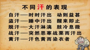 《养生堂》视频和笔记:王显讲自汗,盗汗,风性开泄,高血压