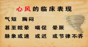 《养生堂》视频和笔记:王显讲心律失常 病毒性心肌炎 心风的临床表现 预防心风的药膳