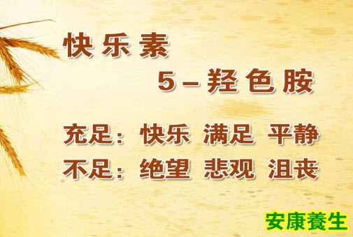 5-羟色胺