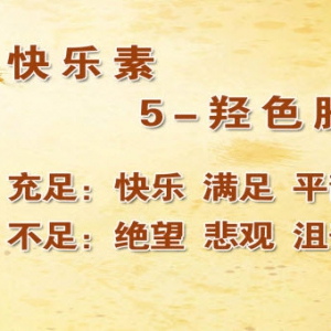 《养生堂》视频:贾竑晓讲抑郁的发病原因 5-羟色胺的作用 食物中的脑黄金是什么