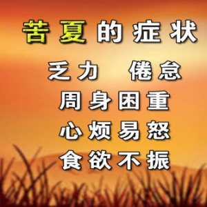 《养生堂》视频:王玉光讲苦夏的症状 署伏对人的影响 热射病的主要特征