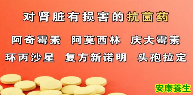 肾脏