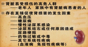 《养生堂》视频:李晓玫讲肾脏疾病,尿毒症,慢性肾病 腰疼与肾脏疾的关系