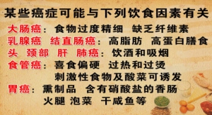《养生堂》视频:陈超刚讲食物与癌症的关系 预防癌症的食物 膳食纤维的主要功能