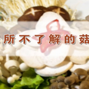 《养生堂》视频和笔记:陈超刚讲菇类食物 菇类食物与降压的关系
