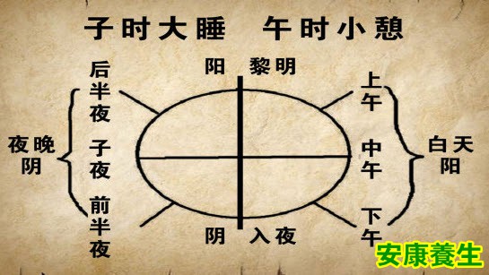 子午觉