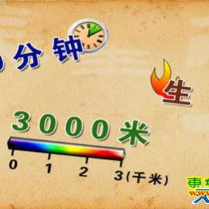 《养生堂》20130629 张声生：脾胃气滞、生气、产气食物、打嗝、嗳气、呃逆方面的问题