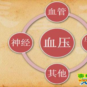 《养生堂》20130623 张抒扬：勺型血压、晨峰高血压、体位性低血压、慢性便秘等方面的内容