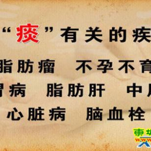 《养生堂》20130621程凯：讲解痰邪、痰湿瘀阻、健脾化痰 二陈汤配方