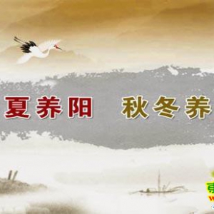 《养生堂》20130612王凤岐 高巍：巧过端午 平安一夏(3)雄黄酒，养阳补气药酒配方