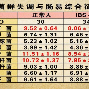 《养生堂》20130609魏玮：肠道菌群、肠易激综合征、大肠癌、大肠杆菌、类杆菌、肠道菌群平 ...