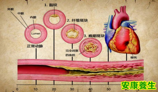 心脏