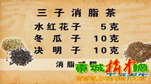 《养生堂》20130514王耀献： 三子消脂茶 通气化痰汤 三参饮 脏腑不通 血脉不通 通腑宣肺