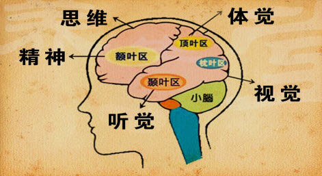 《养生堂》视频20130509栾国明：突然晕厥跌倒的原因 癫痫的表现
