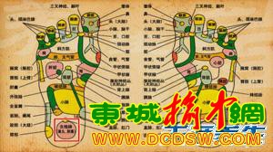 《养生堂》20130507韩洪：讲解足跟痛、肾精亏虚方面的问题