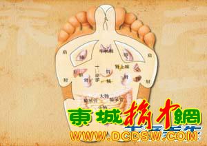 《养生堂》20130506韩洪：糖尿病 家庭足部保健方 足趾保健法
