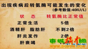 《养生堂》20130504魏来：转氨酶升高 药物性肝损伤 氨酶升高的药物