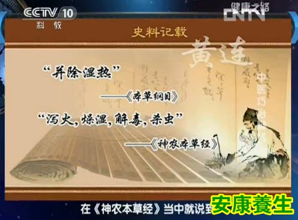 黄连