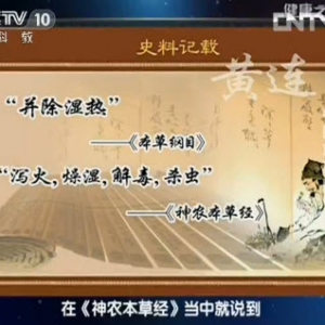 《健康之路》视频:宋坪讲中医治脚气 足癣 黄连素 角化型脚气