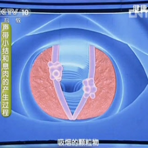 《健康之路》视频:徐振明讲声音嘶哑的原因 缓解声音嘶哑的方法 喉癌