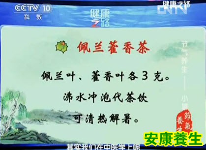 佩兰藿香茶