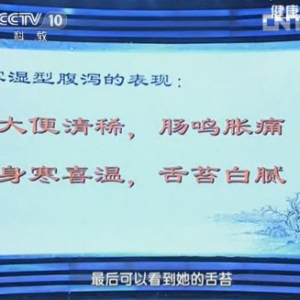 《健康之路》视频笔记:陈延讲腹泻的原因 表现 寒湿型腹泻 湿热型腹泻的表现  野菜治疗湿热 ...