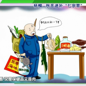 健康有道20130923视频:杨柳讲进补的误区 秋冬应如何进补 秋季平补食疗 沙参玉竹老鸭汤